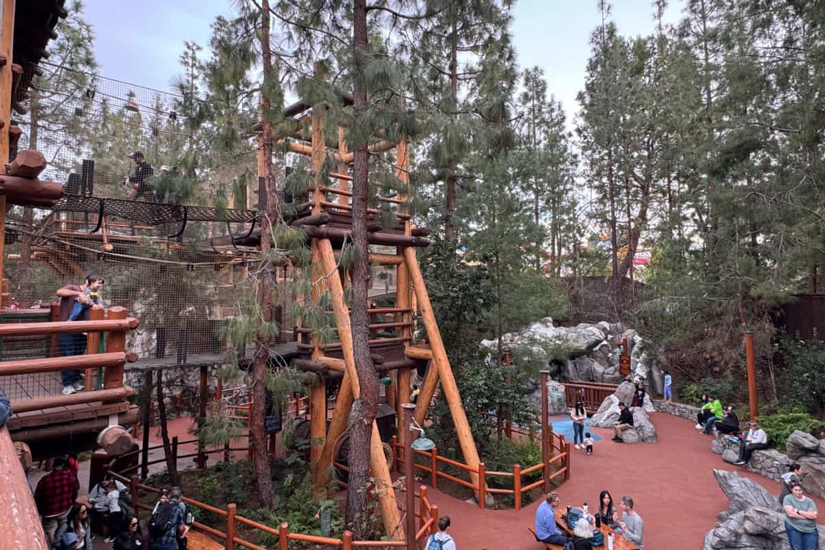 Bridges in Redwood Creek Challenge Trail in DCA