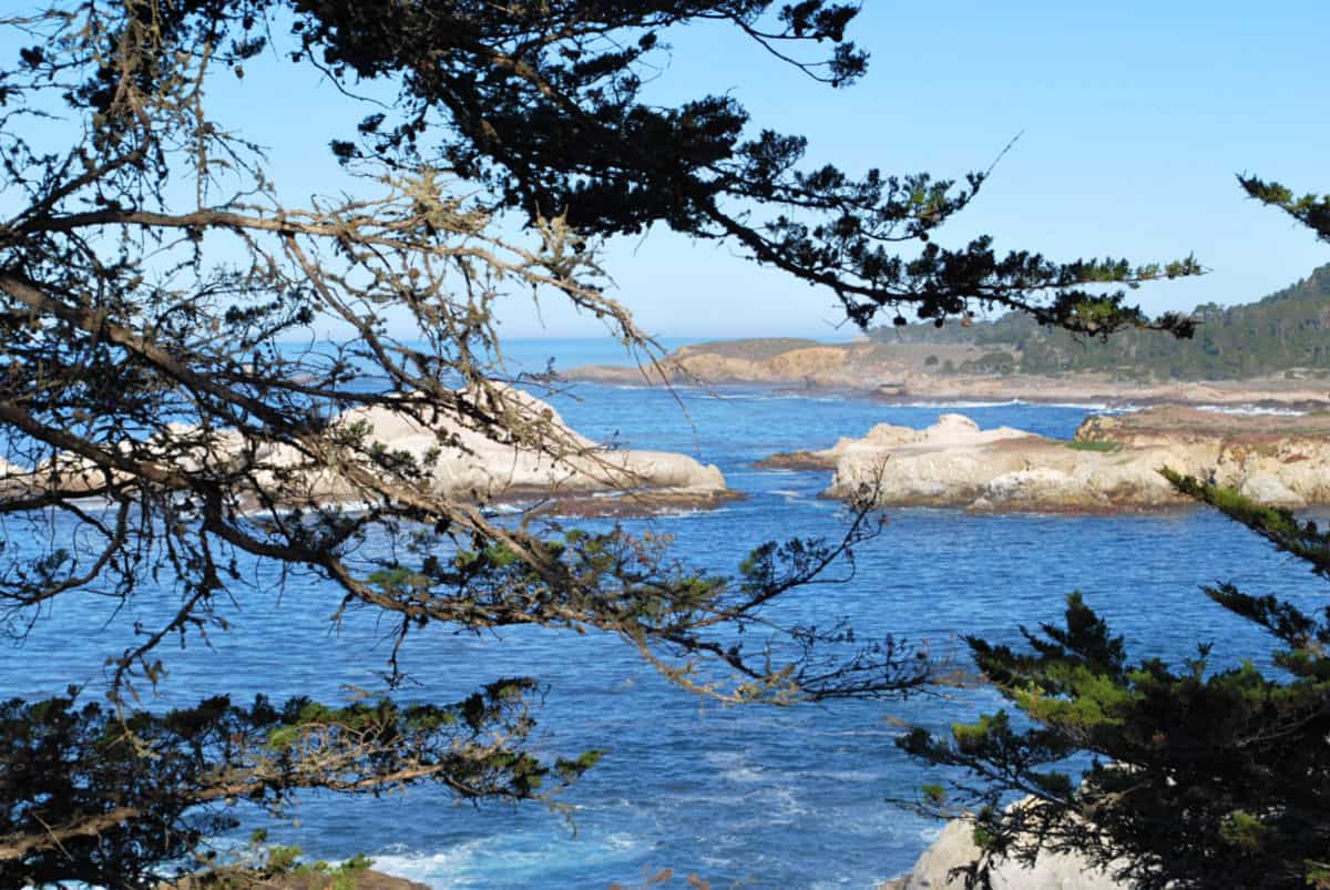 10 Best Things to Do in Monterey, California with Kids