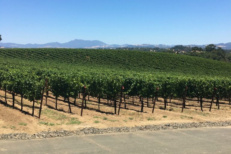 10 Amazing Winter Destinations in California for Families Trips With