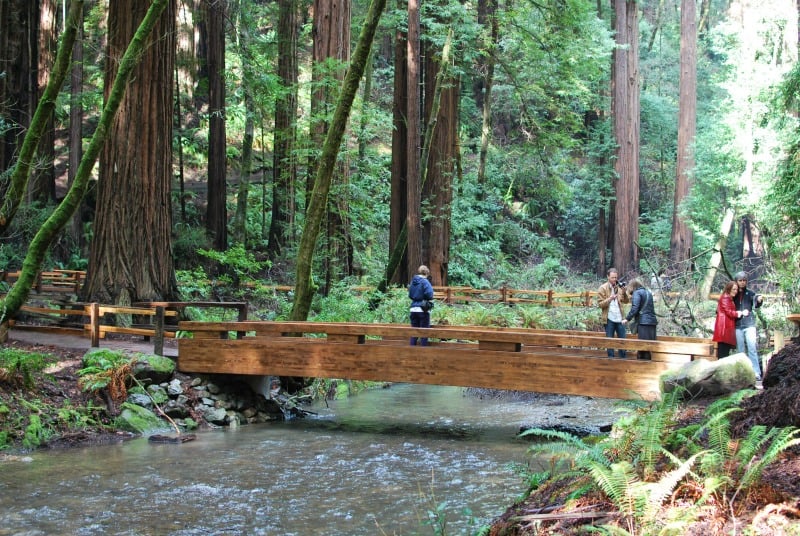 Muir Woods Tips - Bridge over Redwood Creek