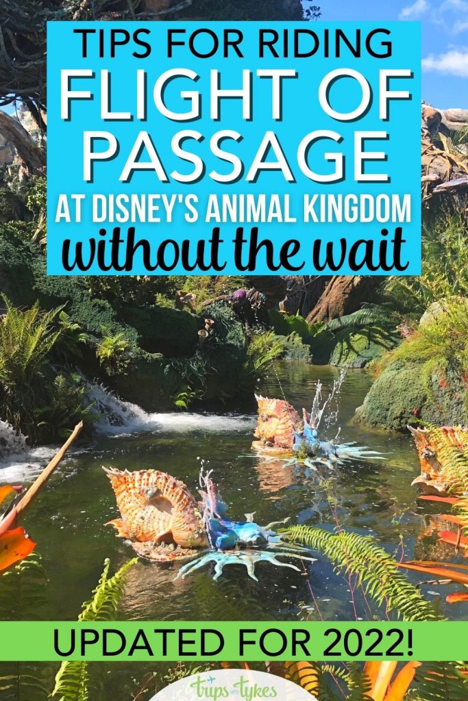Avatar Flight of Passage is still the most popular ride in Disney's Animal Kingdom at Walt Disney World. Find out all the strategies to skip long lines and have a shorter wait, whether in the standby line or by using paid individual Lightning Lane. Fully updated for 2022 and all Disney Genie changes!