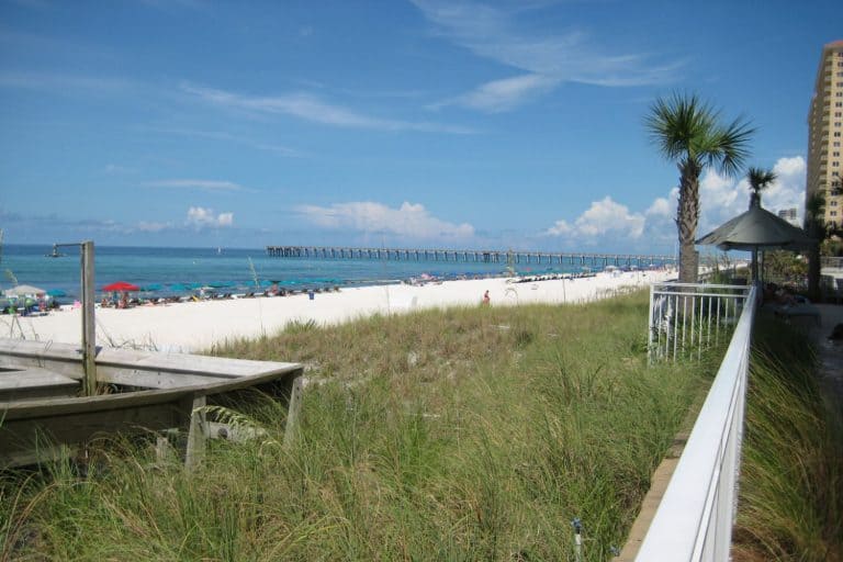 First Timer's Guide to Florida Panhandle Beaches Destin, 30A, Panama City & Beyond Trips With