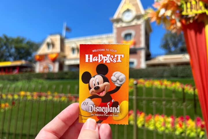 Analysis: Disneyland Park Hopper Tickets - Worth It or Waste of Money
