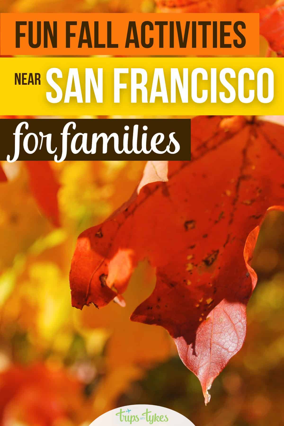 Visiting the San Francisco September, October, or November? Fun family-friendly activities, events, and things to do, from Halloween festivals at local amusement parks to Fleet Week. 