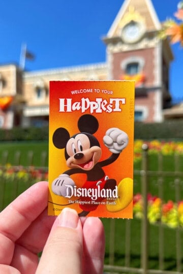 Disneyland Park Hopper Ticket