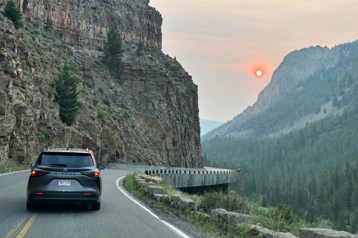 Sunrise drive in Yellowstone National Park