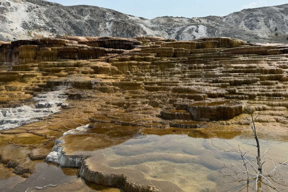 Yellowstone Mammoth Hot Springs