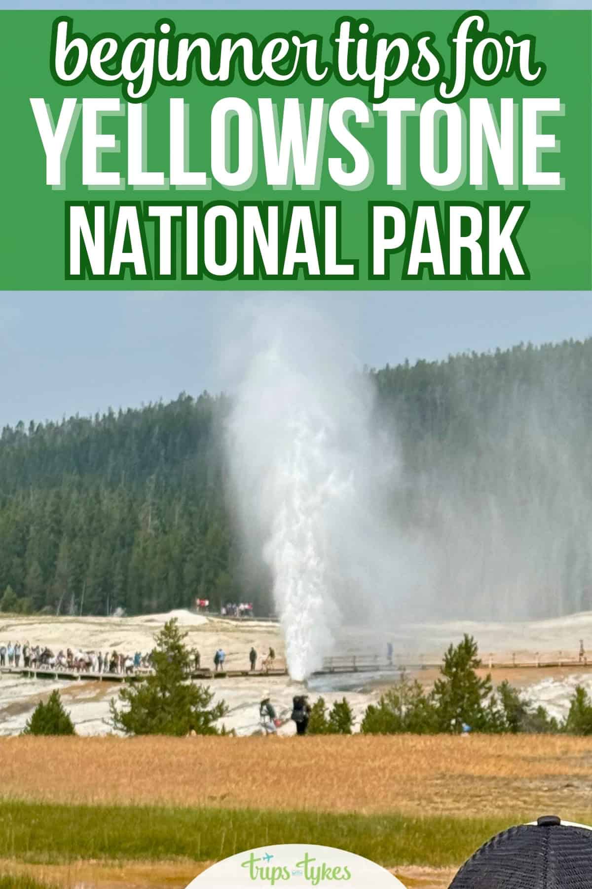 Planning a visit to Yellowstone National Park? Essential tips for first timers, including the best airports, lodging options, and things to do and see, from Old Faithful, Mammoth Hot Springs, Lamar Valley, and Grand Prismatic.