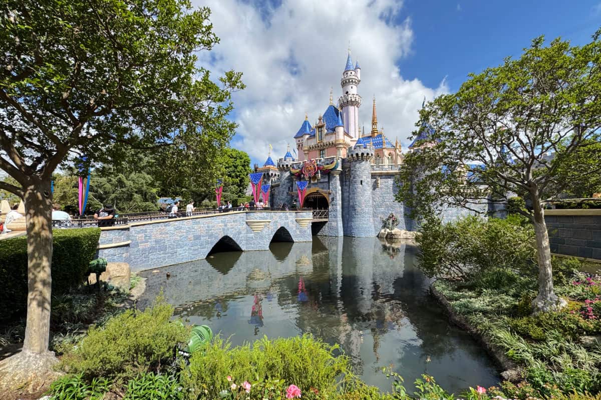 Disneyland Castle 2025 and Foliage