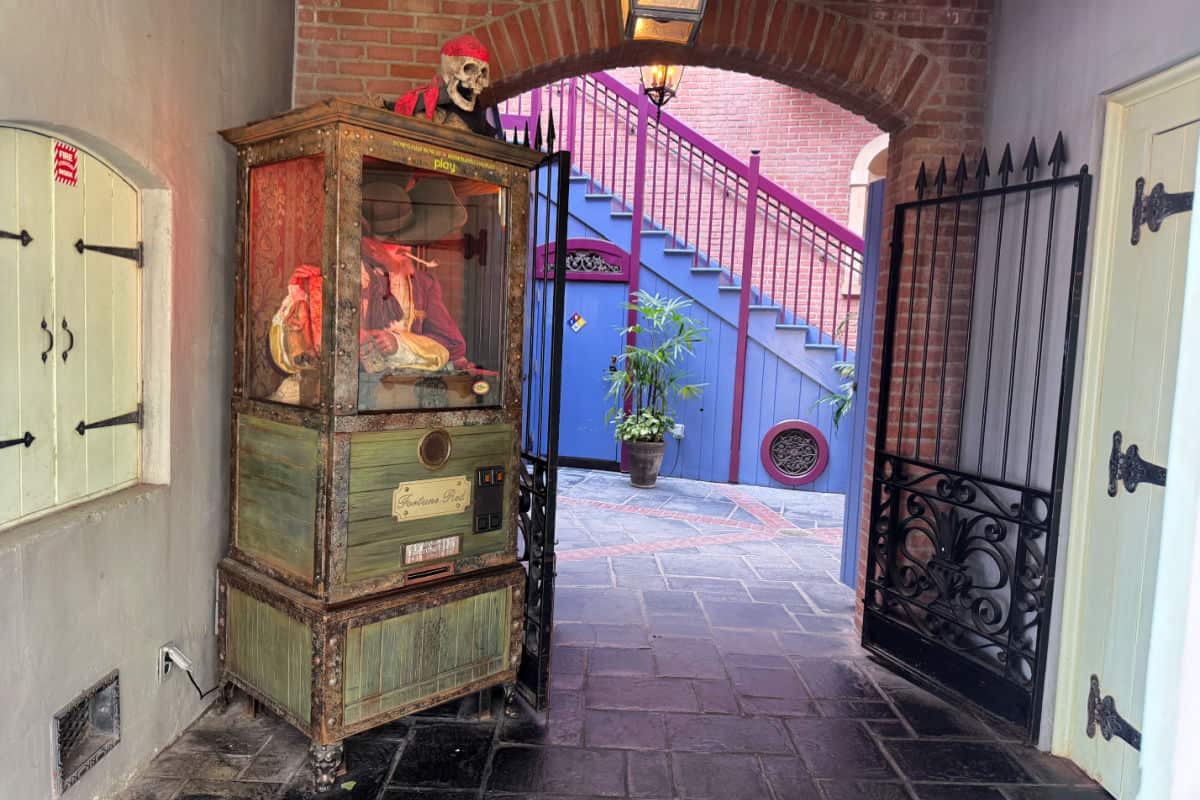 Fortune Red Pirates of the Caribbean