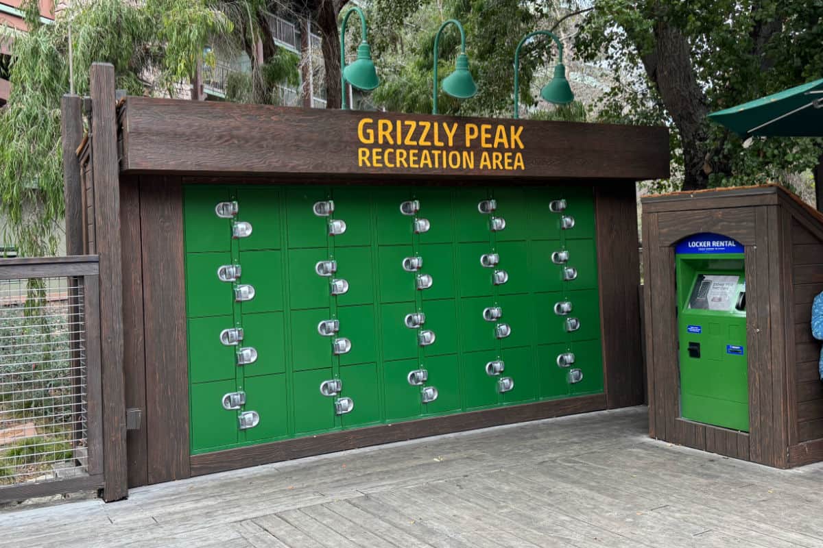 Grizzly River Run Free Lockers in DCA