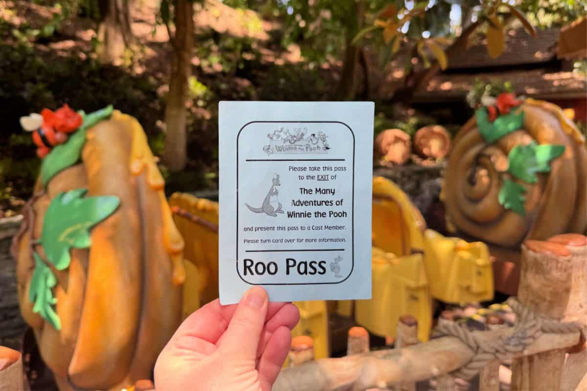 Winnie the Pooh Disneyland Roo Pass