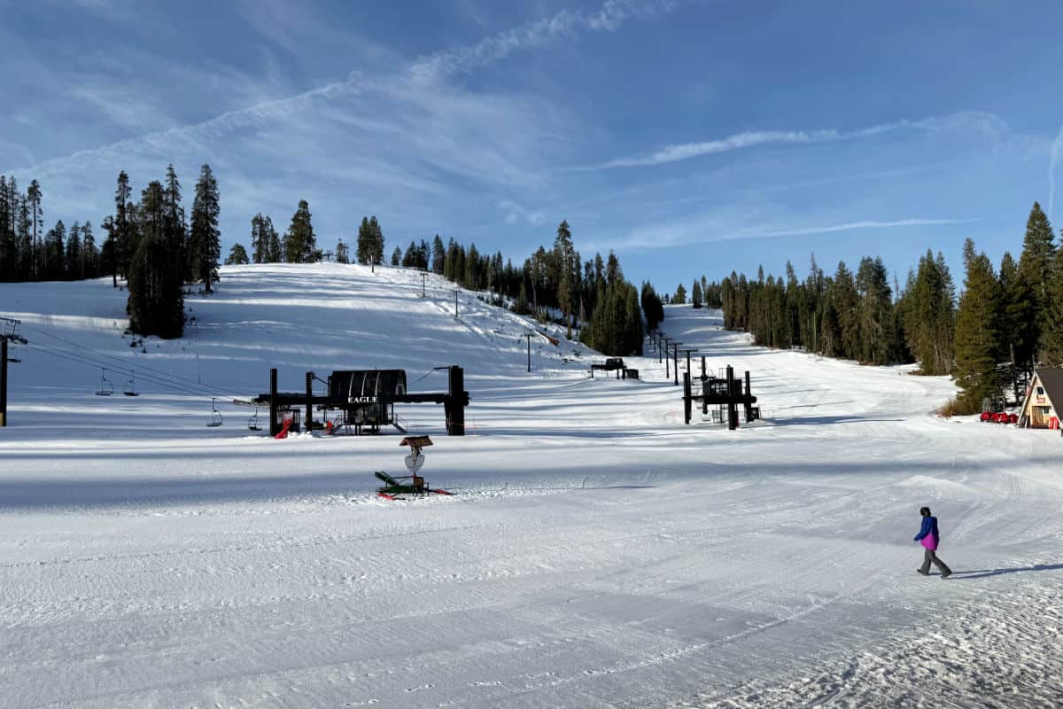 Badger Pass Eagle and Bruin Lifts