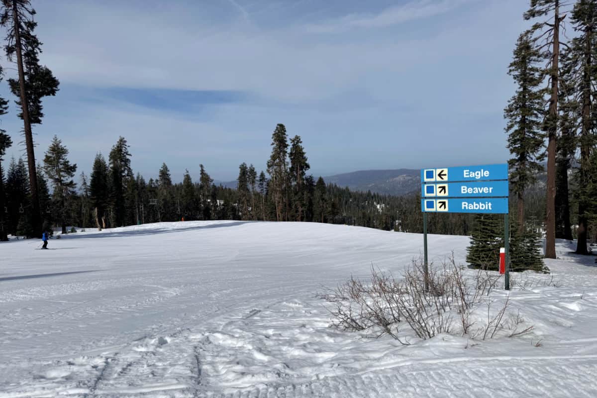 Badger Pass Slope Sign