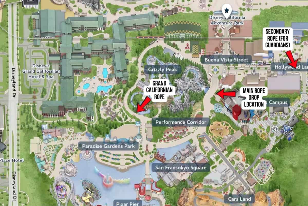 Disney California Adventure Rope Drop Location