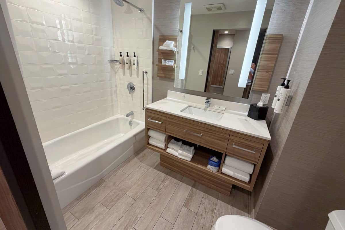 Hilton Garden Inn Anaheim Bathroom