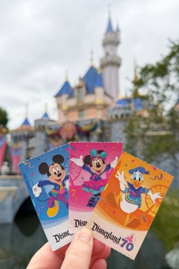 Disneyland Park Tickets 2026 Square